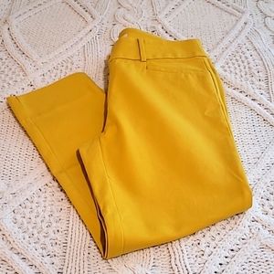 LOFT Marisa Riviera Cropped Pants